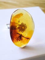 Zeldzame zilveren ring van natuurlijk Baltisch amber met, Antiek en Kunst