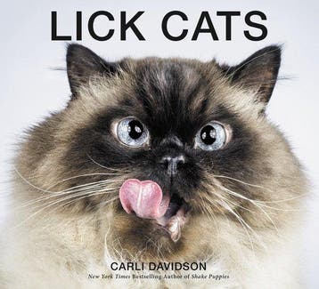 Lick Cats 9780062420343 Carli Davidson, Verzenden, Carli Davidson