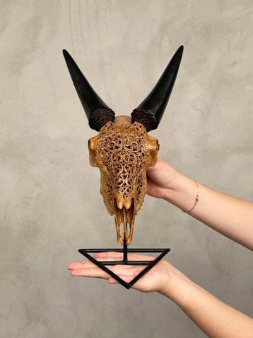 PAS DE PRIX DE RÉSERVE - Crâne de chèvre brun sculpté à la, Antiquités & Art