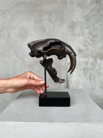 sculptuur, NO RESERVE PRICE - Smilodon - 20 cm - Brons, Antiquités & Art