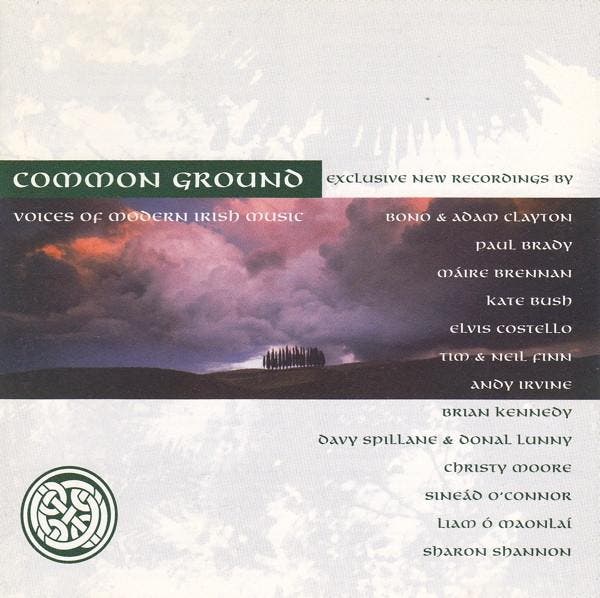 Various - Common Ground (CD, 1996), Cd's en Dvd's, Cd's | Pop, Gebruikt