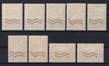 België 1929 - Eerste Orval met horizontale mouwstrepen