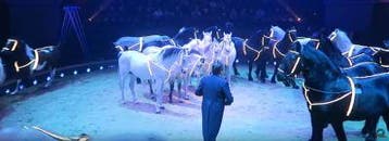 Wereldkerstcircus Tickets | Carre Amsterdam, Tickets & Billets
