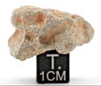 NWA 15244 HED-achondriet eucriet monomictisch. Achondrite