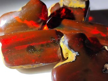 Dominican Amber!! Hoogwaardige kwaliteit - Gratis