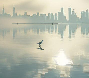 David Law - Skyline III