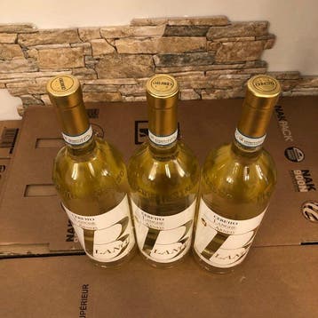 2025 Ceretto, Blange Arneis - Piëmont DOC - 3 Magnums (1.5L), Nieuw