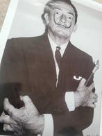 Andre Villers - Salvador Dali au Ritz