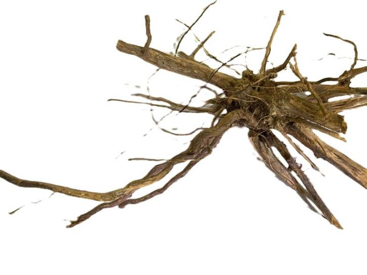 Driftwood Selected  DW52- 45x30x22cm (Small drift wood), Animaux & Accessoires, Poissons | Aquariums & Accessoires, Enlèvement ou Envoi