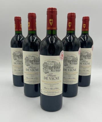 2015 Fleurs de Vigne - Saint-Émilion Grand Cru - 6