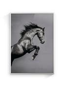 Jorge Omeñaca - Horse attack