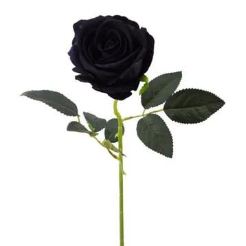 Roos Open Zwart Zijdenbloem 52 cm per stuk