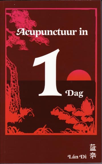 Acupunctuur in een dag 9789079212019 P.C. van Kervel, Verzenden, P.C. van Kervel