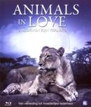 Animals in love op Blu-ray, Cd's en Dvd's, Verzenden, Nieuw in verpakking