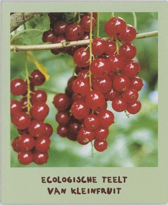 De ecologische teelt van kleinfruit - Buysse, Livres, Loisirs & Temps libre, Envoi