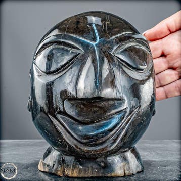 Met de hand gesneden schedel van versteend hout – Unieke