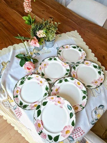 Villeroy & Boch - 6er-Set Kuchenteller „Wildrose“ –
