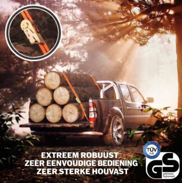 2dekans | 4 stuks spanbanden met ratel, in 4 m, 5 m of 6 m,, Ophalen of Verzenden, Nieuw