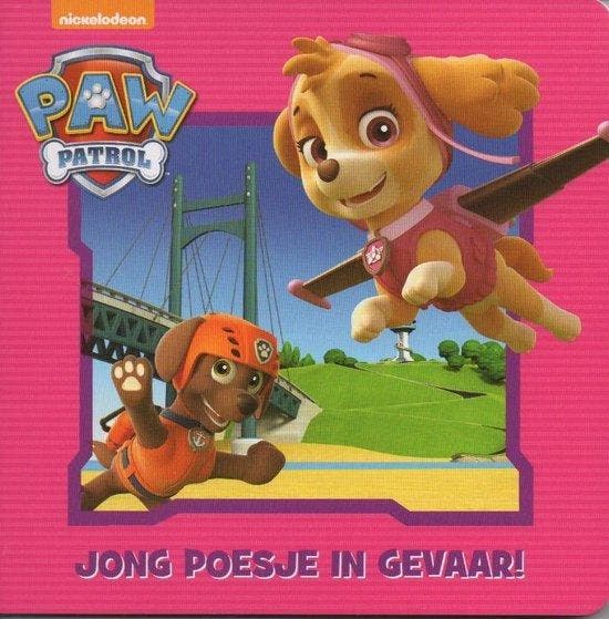 Paw Patrol Skye - boek, Boeken, Overige Boeken, Verzenden