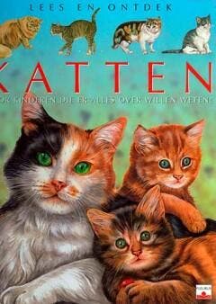 Katten / Lees en ontdek 9782504000564 Agnès Vandewiele, Boeken, Verzenden, Gelezen, Agnès Vandewiele