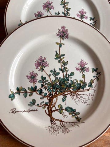 Villeroy & Boch - Tafelservies (7) - Botanica - Porselein, Antiquités & Art