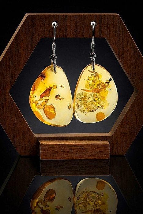 Barnsteen - Genuine Baltic Amber Earrings – Golden, Collections, Collections Animaux