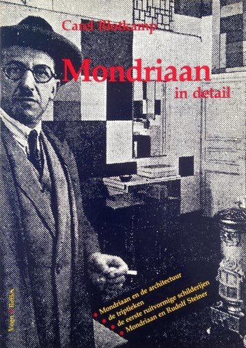 Mondriaan in detail 9789063221478 Blotkamp, Livres, Verzenden, Blotkamp