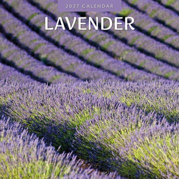 Red Robin Wall Kalender 2027 - Lavender, Ophalen of Verzenden