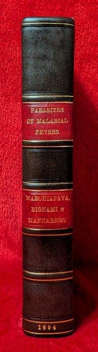 [First Edition] E. Marchiafava; A. Bignami; Julius Mannaberg