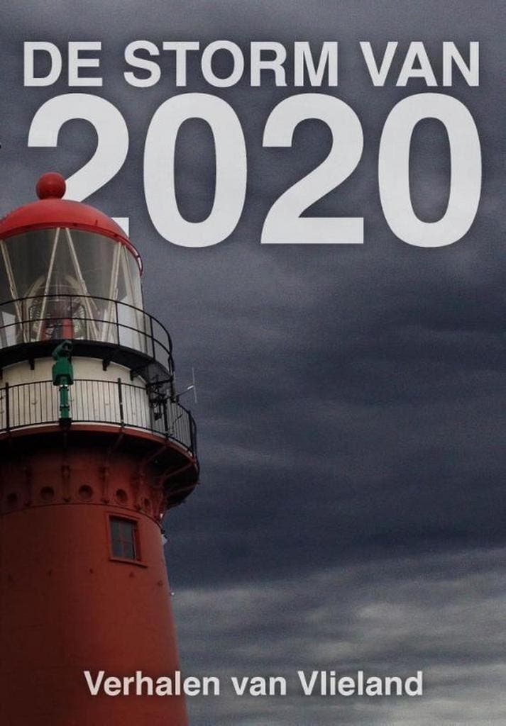 De storm van 2020 9789493157545 Elly Godijn, Livres, Littérature, Envoi
