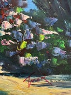 Tirar ( 1958 - ) - Le Voilier