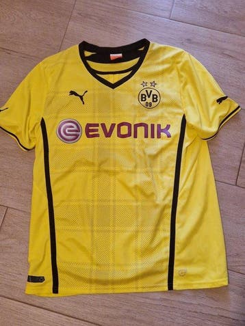 Borrusia Dortmund - Duitse voetbal competitie - 2013 -, Nieuw