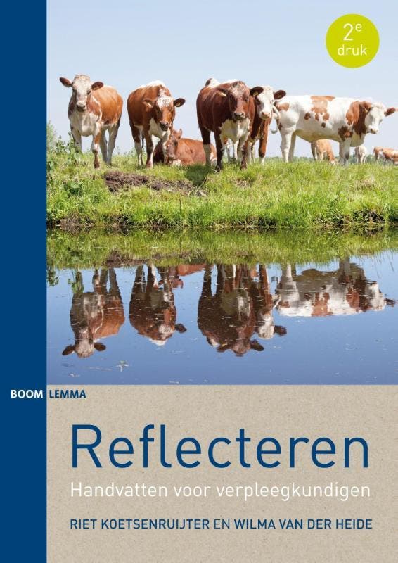 Reflecteren 9789462363939 Riet Koetsenruijter, Livres, Science, Envoi