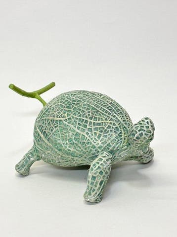 Koji Kasatani - Melon Turtle