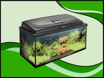 Classic box 100 recht aquarium (Classic box aquariums), Verzenden