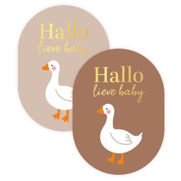 30x Sticker Hallo Lieve Baby - Bruin/Beige - Sluitsticker -, Verzenden, Nieuw
