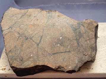 Chondriet Chondrite meteoriet - 997 g - (1)