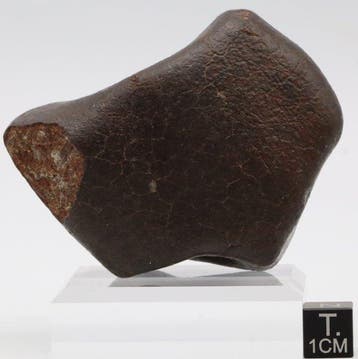 Chondrite Météorite de Chondrite - 212 g - (1)