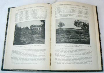 Carl Ludwig Max Wittmack; Siegfried Braun - Gartenflora: