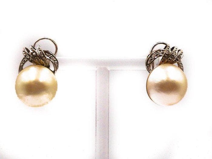 Oorbellen - 18 karaat Witgoud, Handtassen en Accessoires, Oorbellen