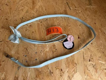 Veiling - Funkylicious - Hondenriem, Nieuw