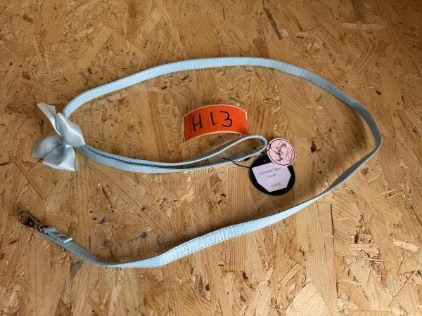 Veiling - Funkylicious - Hondenriem, Animaux & Accessoires, Laisses pour chiens