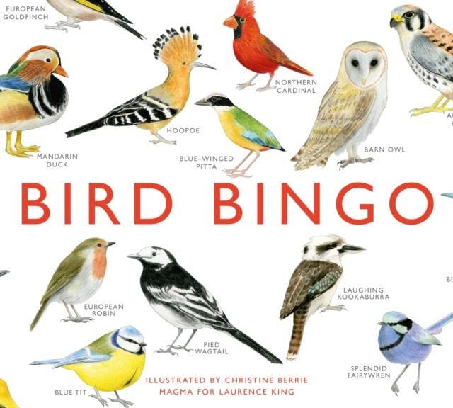 Bird Bingo |  | Nieuw, Boeken, Overige Boeken, Nieuw, Verzenden