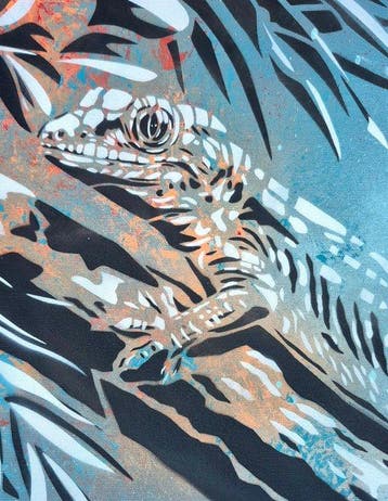 Alexandre Petrus (1988) - LE GECKO
