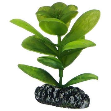 Osaka aquarium kunst plant Saururus 7cm art. 562, Ophalen of Verzenden, Nieuw, Plant(en), Steen of Hout