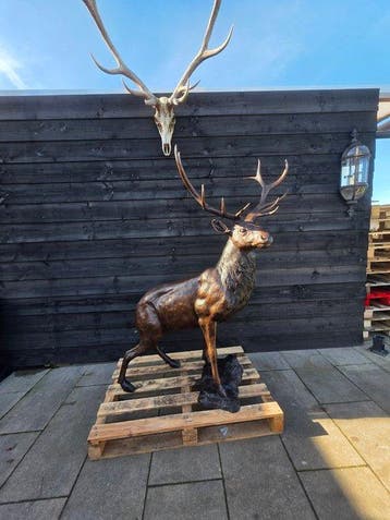 Statue, Bronze: XL Deer - 171 cm - Bronze - 2026