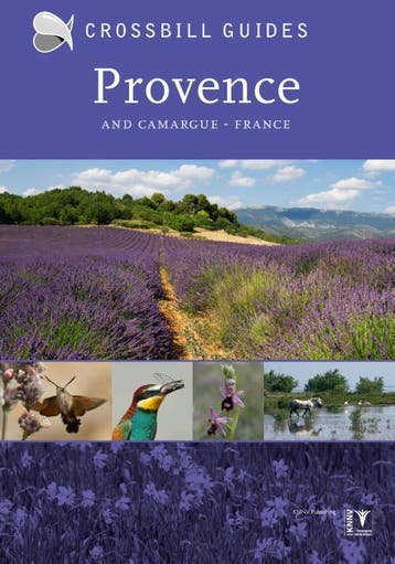 Provence And Camargue | Nieuw, Verzenden, Dirk Hilbers; Constant Swinkels; Albert Vliegenthart