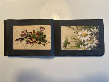 Portugal - Oud-Portugees album met circa 50 postkaarten met