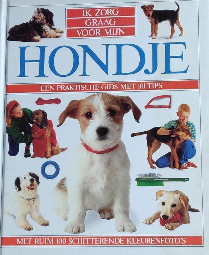 Ik zorg graag voor myn hondje 9789037452006 Evans, Livres, Livres pour enfants | 4 ans et plus, Envoi