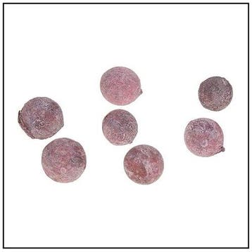 Pal Fruit Terra cotta 200 gram, Nieuw